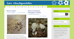 Desktop Screenshot of campagnonades.com